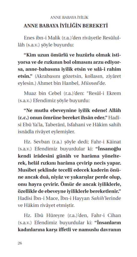 Anne Babaya Iyilik - 7