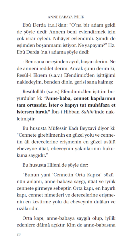 Anne Babaya Iyilik - 9