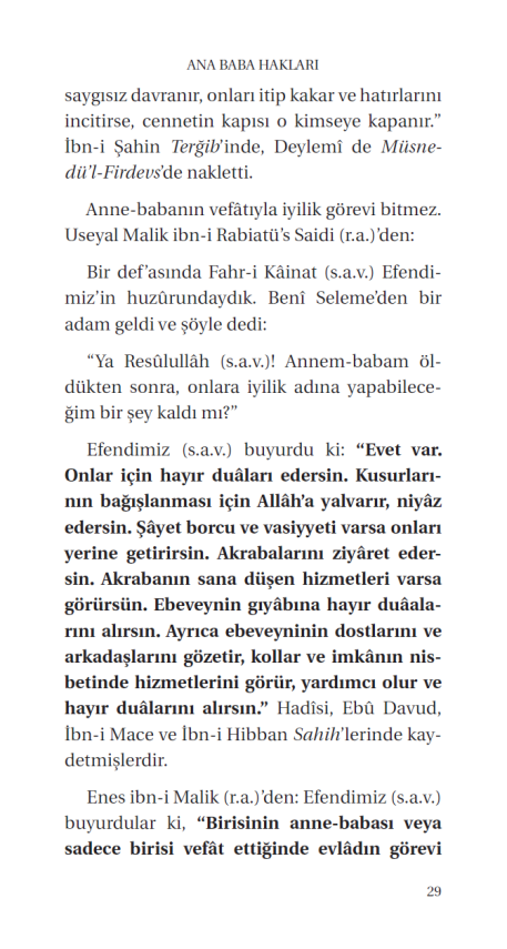 Anne Babaya Iyilik - 10