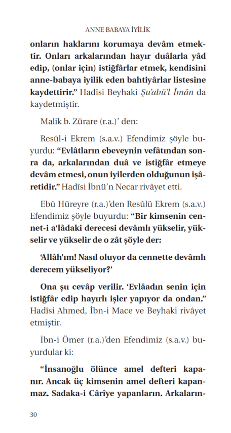 Anne Babaya Iyilik - 11