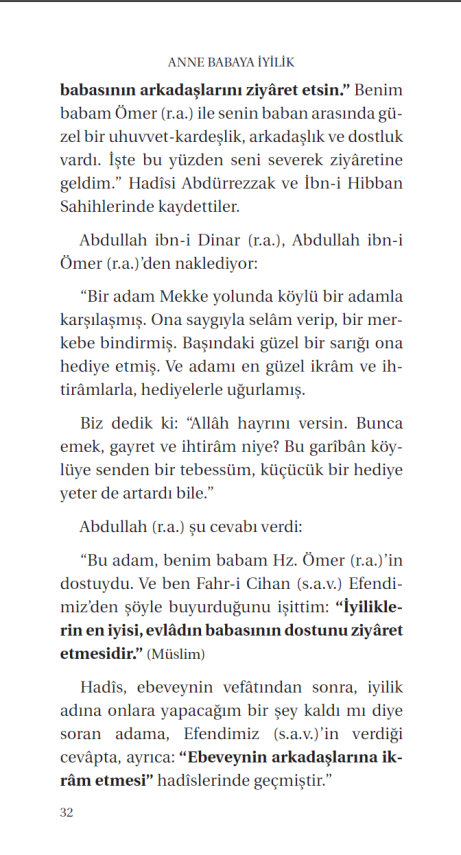 Anne Babaya Iyilik - 13