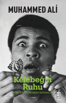 Kelebeğin Ruhu Hayat Yolculuğuna Dair Düşünceler - 2