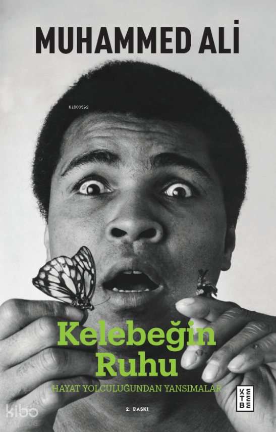 Kelebeğin Ruhu Hayat Yolculuğuna Dair Düşünceler - 2